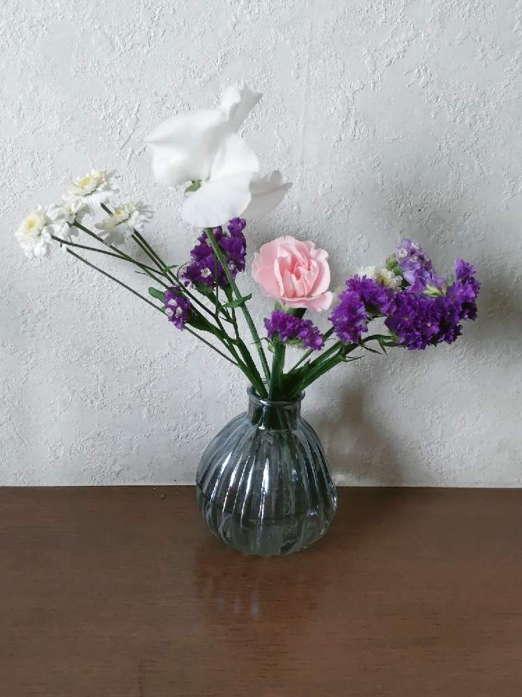 カーネーションの投稿画像 By ハイオクさん スイートピーとスターチスとマトリカリアと花のある暮らしと魔法の花瓶 21月4月4日 Greensnap グリーンスナップ