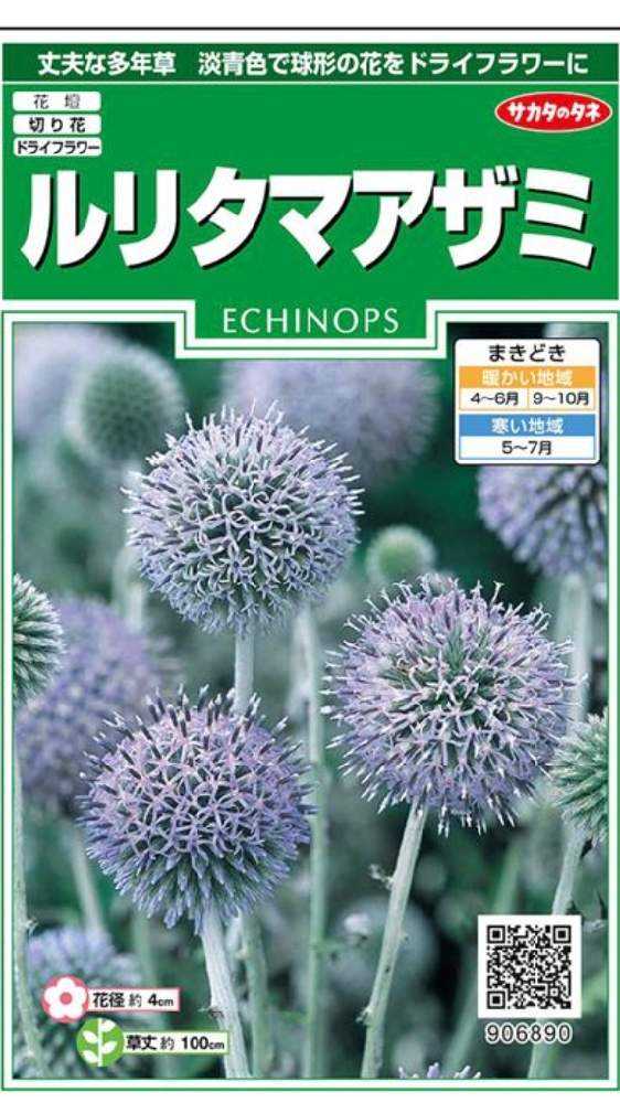 ルリタマアザミ育成日記 Greensnap グリーンスナップ