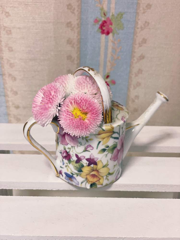 デイジーの投稿画像 By Mieeさん 花瓶とかわいい とデイジー ヒナギク 21月4月4日 Greensnap グリーンスナップ