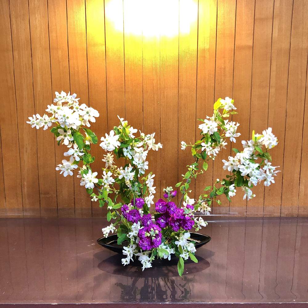 ストックの投稿画像 By みやさん 利休梅とリキュウバイと生け花と草月と草月流と生け花初心者 21月4月4日 Greensnap グリーンスナップ