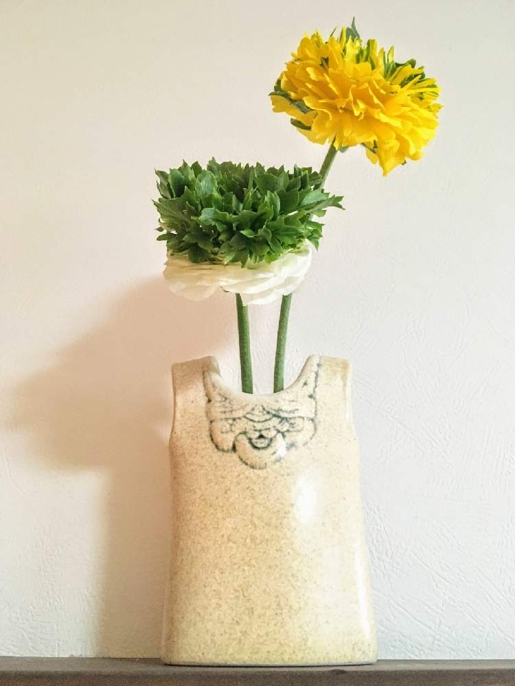 ラナンキュラス フェスティバルの投稿画像 By Reoさん 花瓶とリサラーソンと花瓶とリサラーソン 21月4月5日 Greensnap グリーンスナップ Greensnap グリーンスナップ