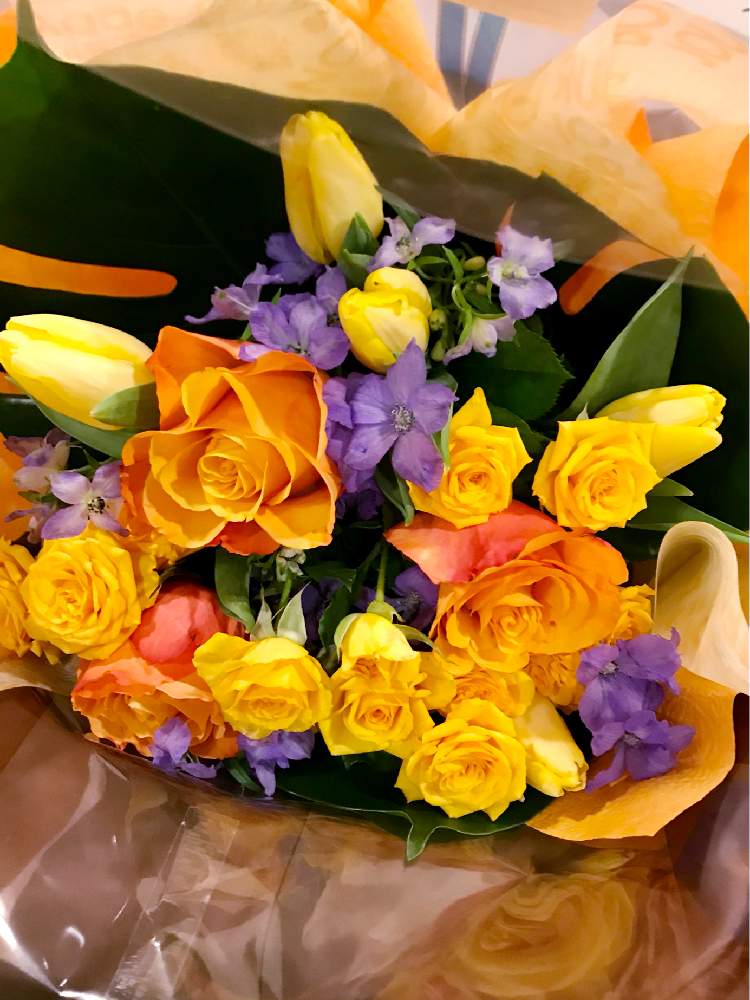 チューリップの投稿画像 By むーさんままさん モンステラと薔薇とデルフィニウムとスプレー薔薇とオレンジ色の花とプレゼントとお花のある暮らしと黄色い花 と感謝 とブーケとフラワーアレンジメントとちいさなシアワセ と紫の花とアレンジメントと繋がりに感謝 と花束
