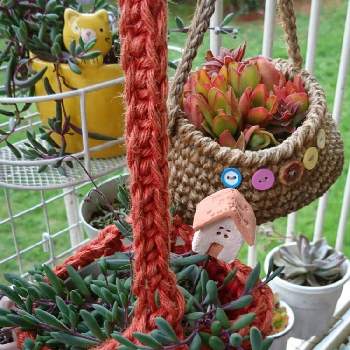 tukiさんpickの画像 by ハイビスカスさん | バルコニー/ベランダと公園をバックにとひまつり.と吊り下げ隊と ルビーネックレスと編み編み鉢カバーと南側ベランダとtukiさんpick