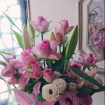 綺麗な花束の画像 by ohalu_uさん | 玄関と綺麗な花束と好きな花と花が好き❤とありがとーと愛らしいとピンク❤︎ピンクと大好きと元気！と良い色❤︎とはるが来た！とかわぃぃ。とはるとうれしい！ときれ～い❤と毎年咲くと可愛いとやっぱり花が好き♡と花束と切り花と花瓶
