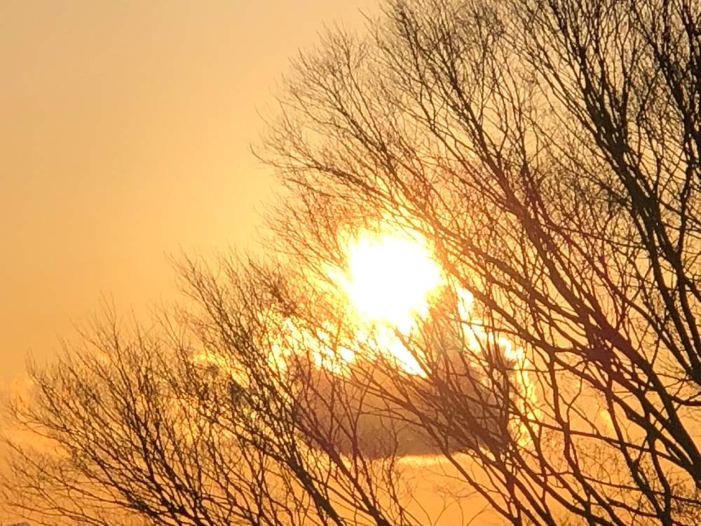夕日の投稿画像 By いいね さん 21月4月5日 Greensnap グリーンスナップ