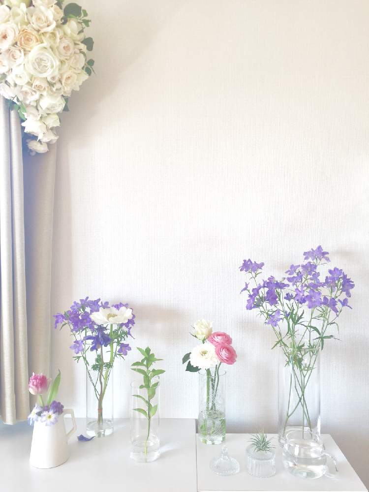 ラナンキュラスの投稿画像 By ともよさん デルフィニウムとアネモネとハナノヒとピンクの花と花のある暮らしとガラスの花瓶とお花のある生活と白い花と日比谷花壇と紫の花と切り花 21月4月6日 Greensnap グリーンスナップ