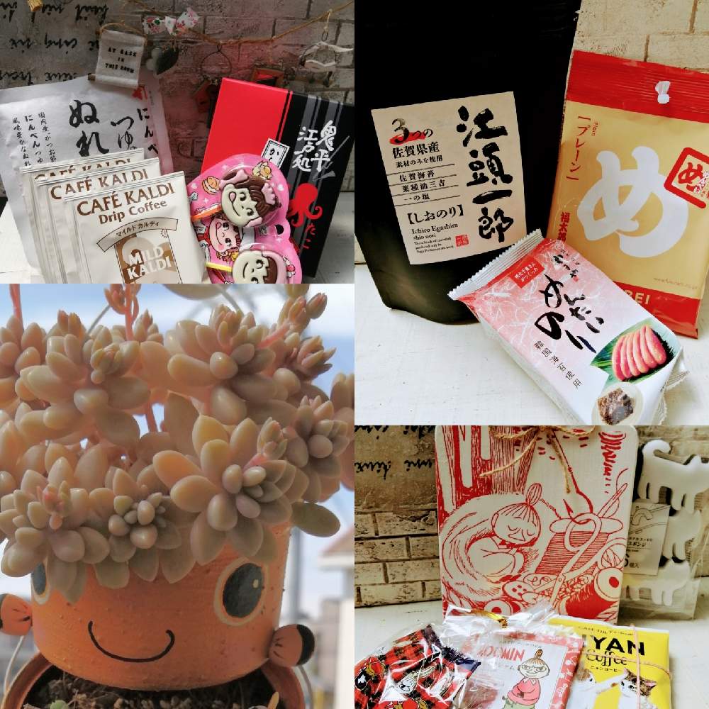 サニコクマノミリメ缶の投稿画像 By サニコさん 素敵便とgs映えとバラと夢clubとハンドメイドとうっとり 21 月4月8日 Greensnap グリーンスナップ