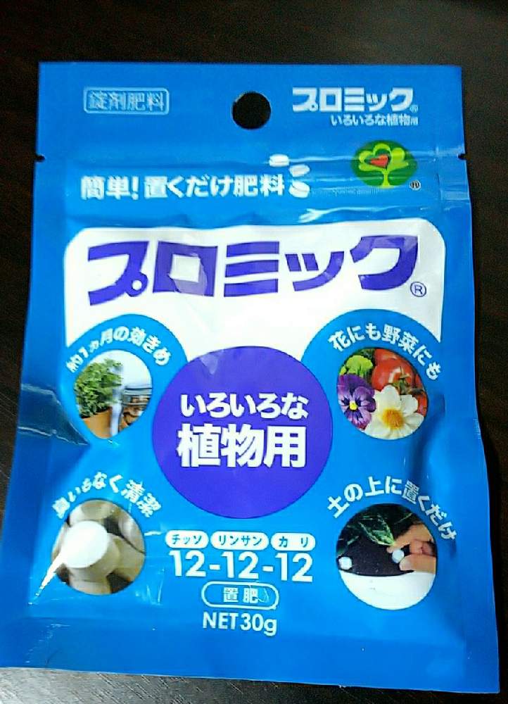 ゆうちんさんの投稿画像 21月4月8日 Greensnap グリーンスナップ