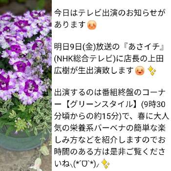 大阪府堺市ロベリアの投稿画像一覧 Greensnap グリーンスナップ