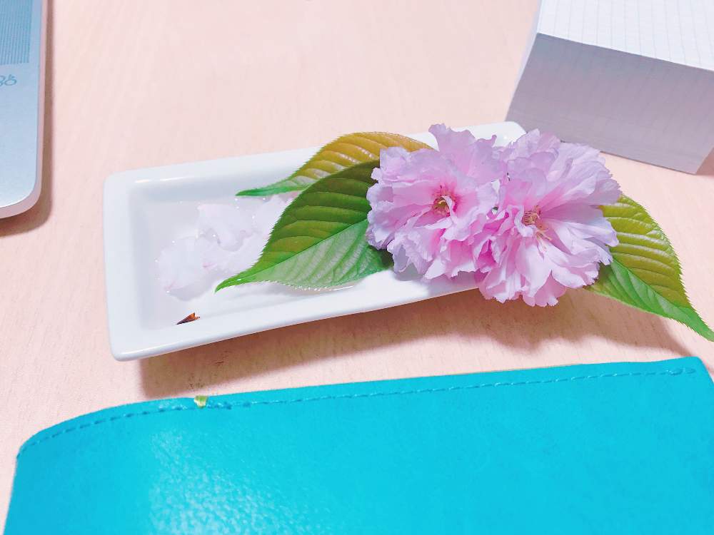 花のある暮らしの投稿画像 By ほたるさん 21桜 フォトコンテスト 21月4月10日 Greensnap グリーンスナップ