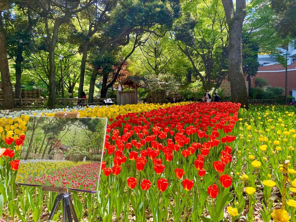 ミニマさんの横浜公園への投稿