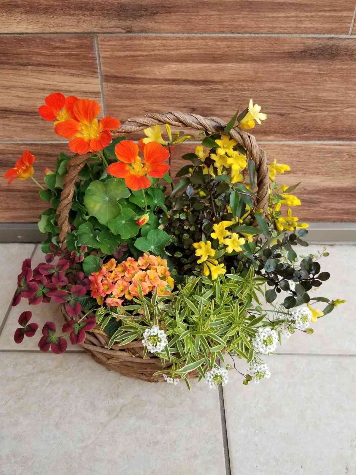 ガーデニング日記 🌱ビタミンカラーの寄せ植え｜🍀GreenSnap（グリーン