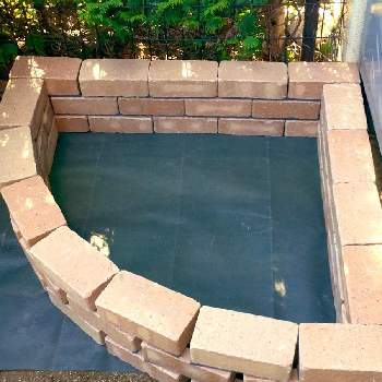 Diyの花壇の投稿画像一覧 Greensnap グリーンスナップ