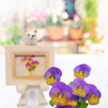 花に癒されるの投稿画像一覧 Greensnap グリーンスナップ