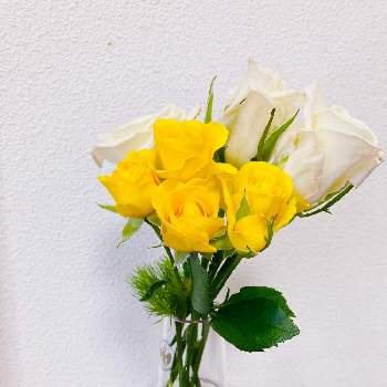 チャンスフラワーの画像 by mayumiさん | スプレーバラとバラと切り花とチャンスフラワー