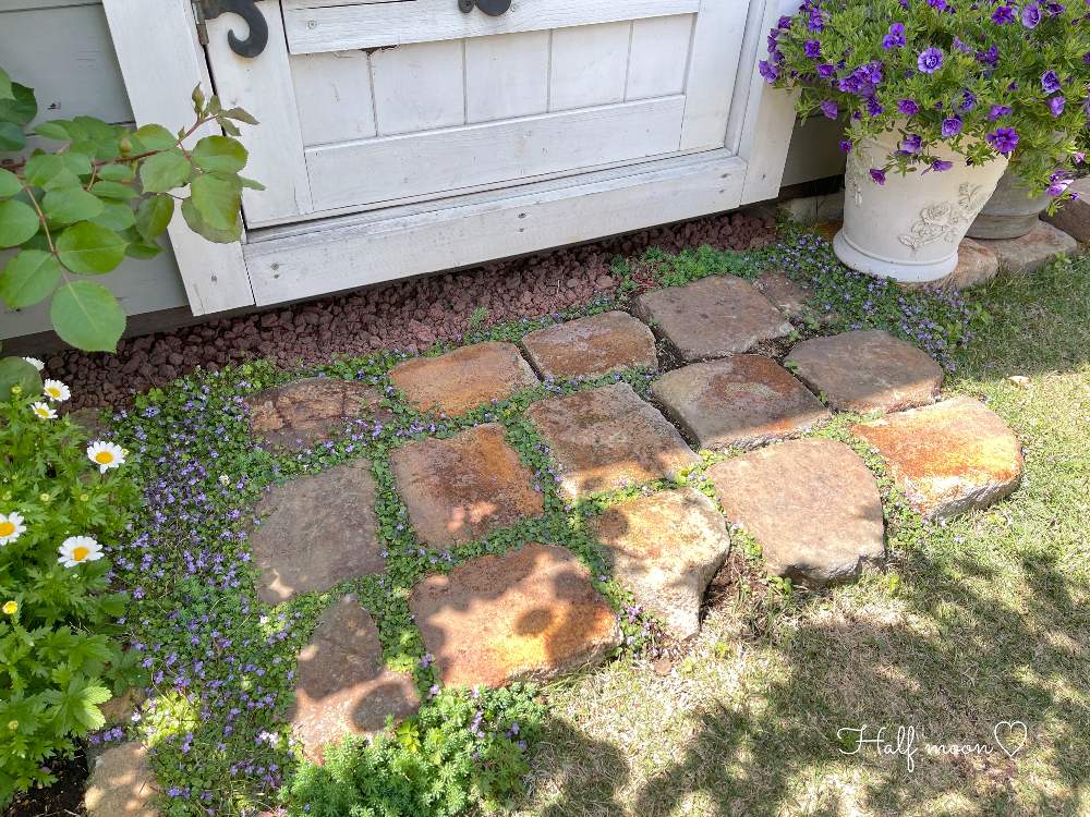 レンガの投稿画像 By Half Moon さん 私の癒しと花のある生活と小さな庭 と花のある暮らしと可愛い と庭づくり 21月4月16日 Greensnap グリーンスナップ