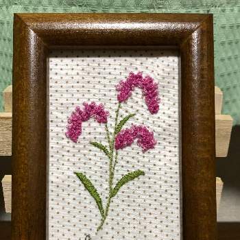 植物刺繍の投稿画像一覧 Greensnap グリーンスナップ