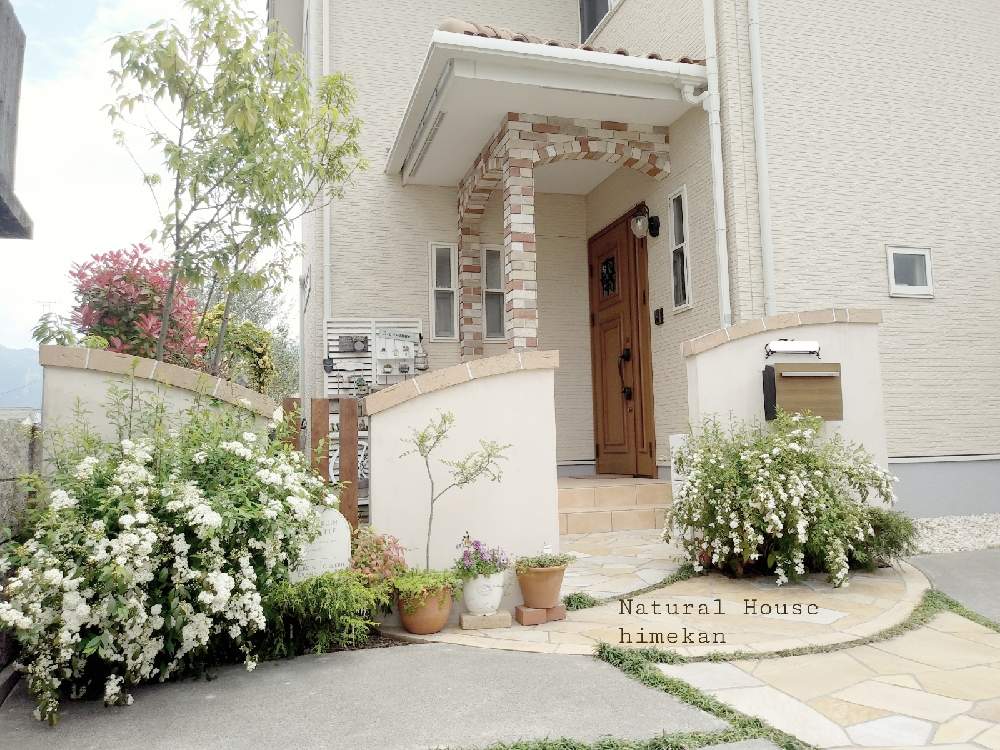 アプローチの投稿画像 By Himekan さん コデマリ とナチュラルガーデンと玄関アプローチと玄関 ガーデニングとナチュラルスタイルと玄関先 と多肉寄せ植えと玄関前とコデマリ とナチュラルガーデンと玄関アプローチと玄関 ガーデニングとナチュラルスタイルと