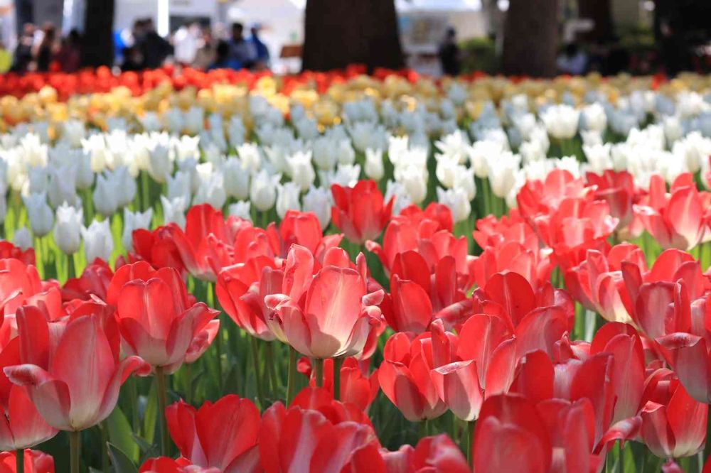 ヒガ君さんの横浜公園への投稿