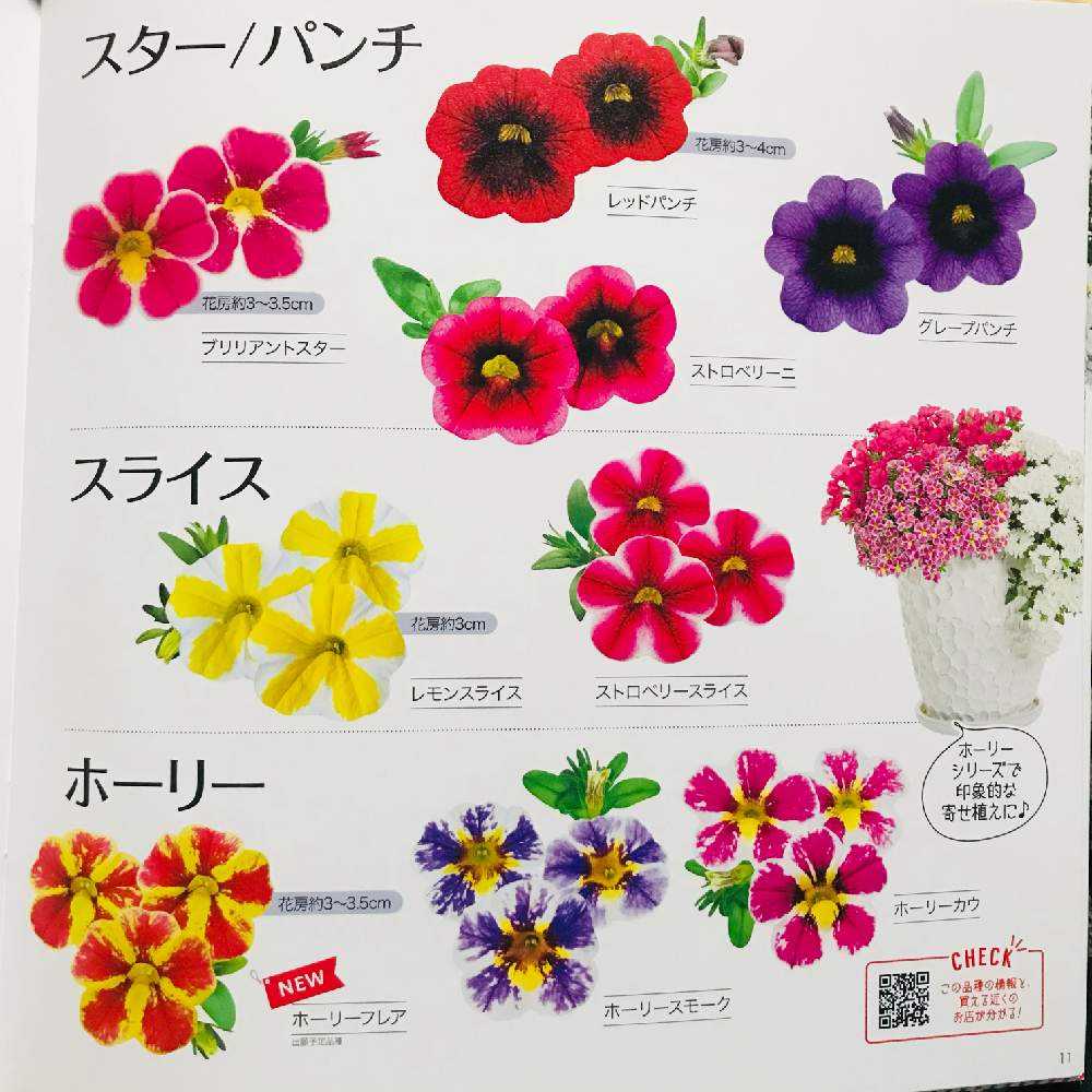 Pw花苗アンバサダー21 Greensnap グリーンスナップ