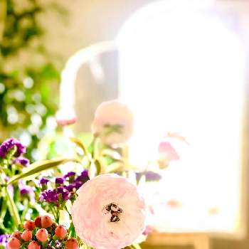 Diy Greensnap グリーンスナップ