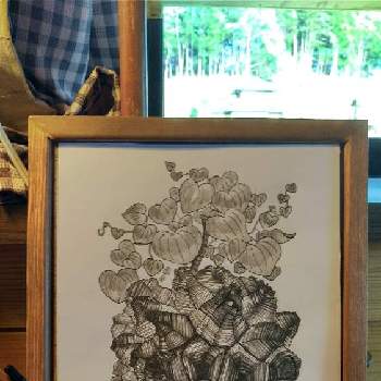 イラストの投稿画像一覧 Greensnap グリーンスナップ