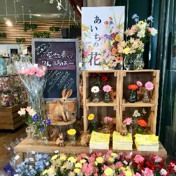 カインズ茂原店の投稿画像一覧 Greensnap グリーンスナップ