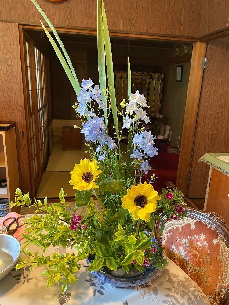イボタノキの投稿画像 By Mimikomamaさん オクラレルカとナデシコとヒマワリとデルフィニウム アクアブルーとデルフィ二ウムと季節の花と黄色い花とフラワーアレンジメントと花のある暮らしとアレンジメントと生け花 21月4月19日 Greensnap グリーンスナップ