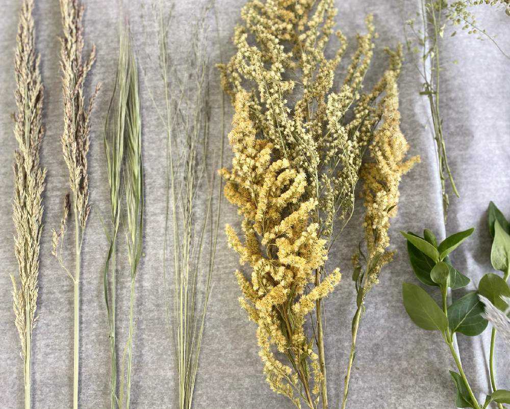 野の花スワッグ🌿｜🍀GreenSnap（グリーンスナップ）