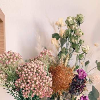 花摘みの画像 by chiさん | ラベンダーとライスフラワーと初心者と花摘みとドライフラワーにしたい