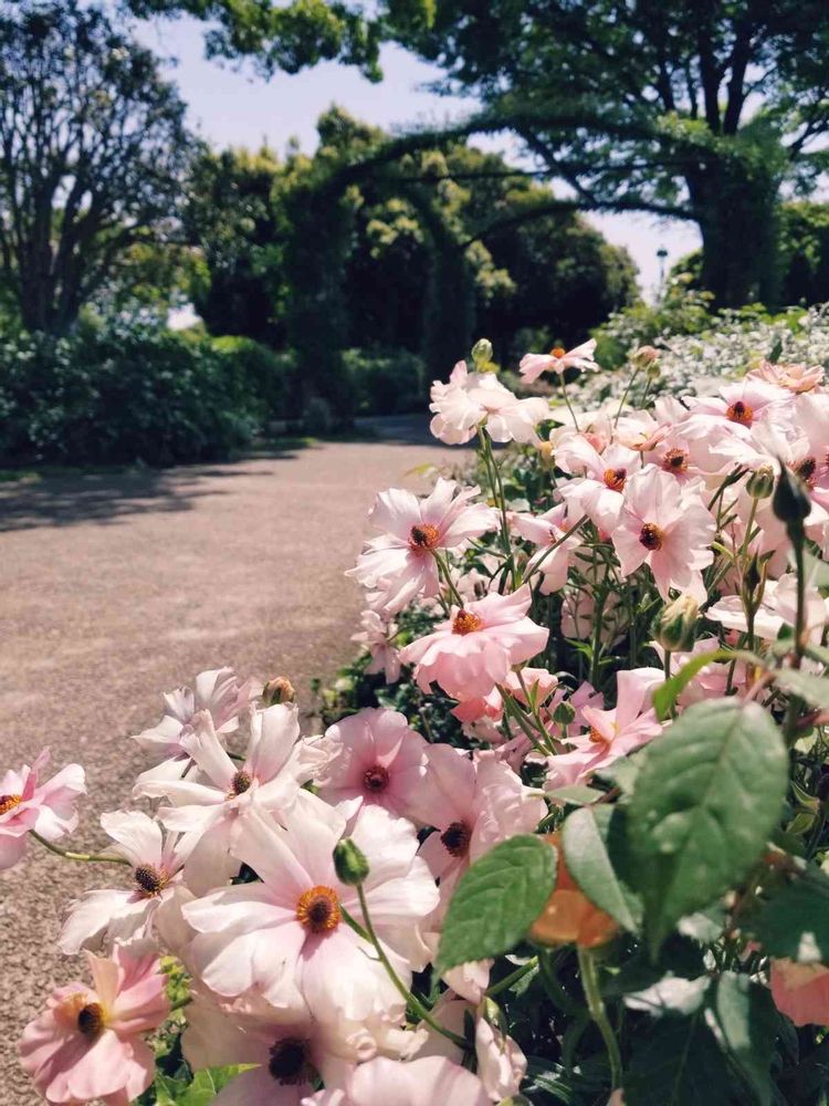 エリィさんの港の見える丘公園への投稿