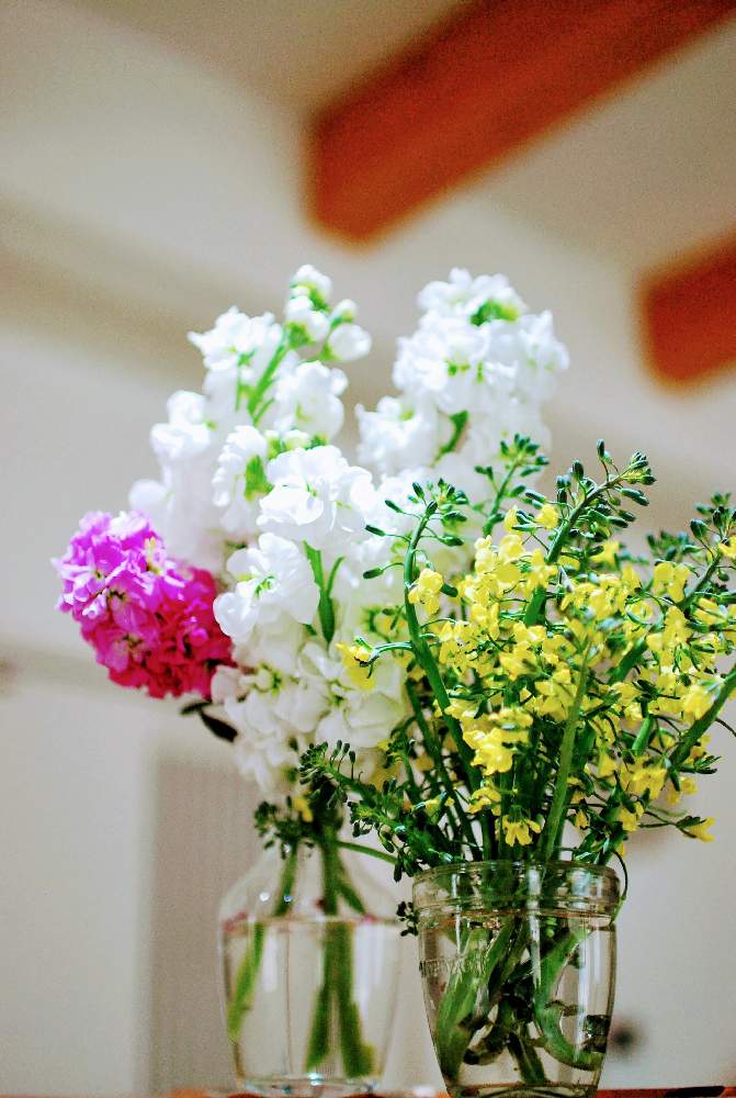 ストックの投稿画像 By こずちさん ブロッコリーとカメラ女子とこどもと暮らすと一眼レフとたねからと切り花 21月4月21日 Greensnap グリーンスナップ