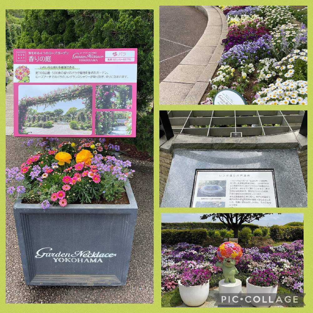 21 4 16 港の見える丘公園 イングリッシュローズガーデン Greensnap グリーンスナップ