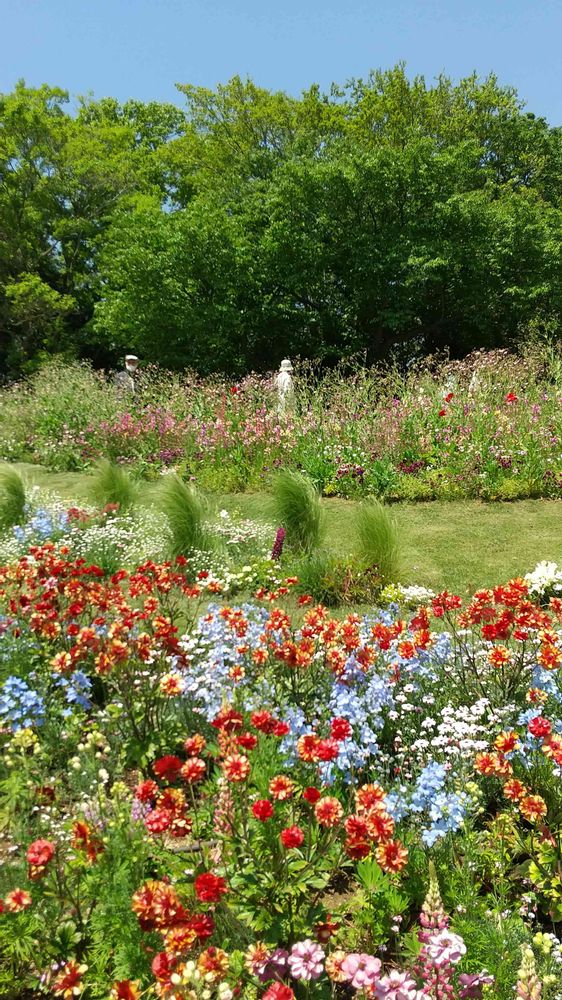 和の花♪さんの里山ガーデン（大花壇）への投稿