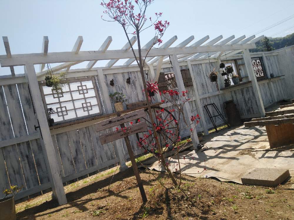 ナチュラルガーデンをめざして 21誕プレdiy Greensnap グリーンスナップ