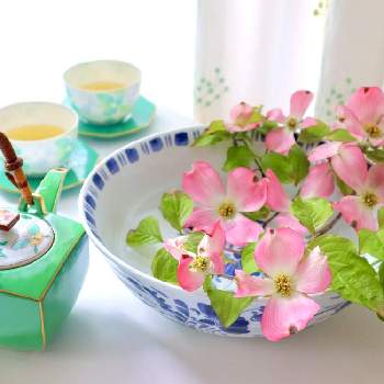 和のうつわの画像 by こもひささん | 部屋とハナミズキと春のリビングフラワーフォトコンとピンクの花と庭の花とティータイムと花を飾るとハナミズキ♡とピンクと ハナミズキと和のうつわと鉢の中にと日本茶とケーラーとWEEKEND FLOWERとオマジオと庭のお花とcanonと庭に咲く花と花のある生活とお庭の植物と花のある暮らし