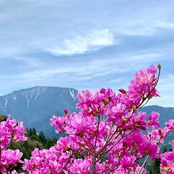 恵那山の景色の画像 by はーにゃんさん | ヤマツツジと山歩きと楽しい田舎暮らしと恵那山の景色