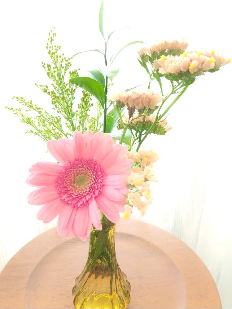 ガーベラの投稿画像 By Mimoza さん スターチスシヌアータと丸葉ルスカスとソリダゴと春のお花とスマホ撮影とno Flower No Lifeと花と緑のある暮らしとブーケと切り花 21月4月23日 Greensnap グリーンスナップ