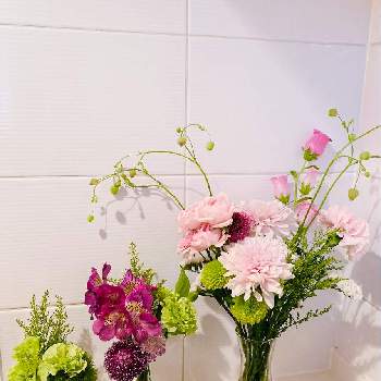 チャンスフラワーの画像 by mayumiさん | お花のある暮らしとチャンスフラワーと花のある暮らしとお花のある生活と切り花
