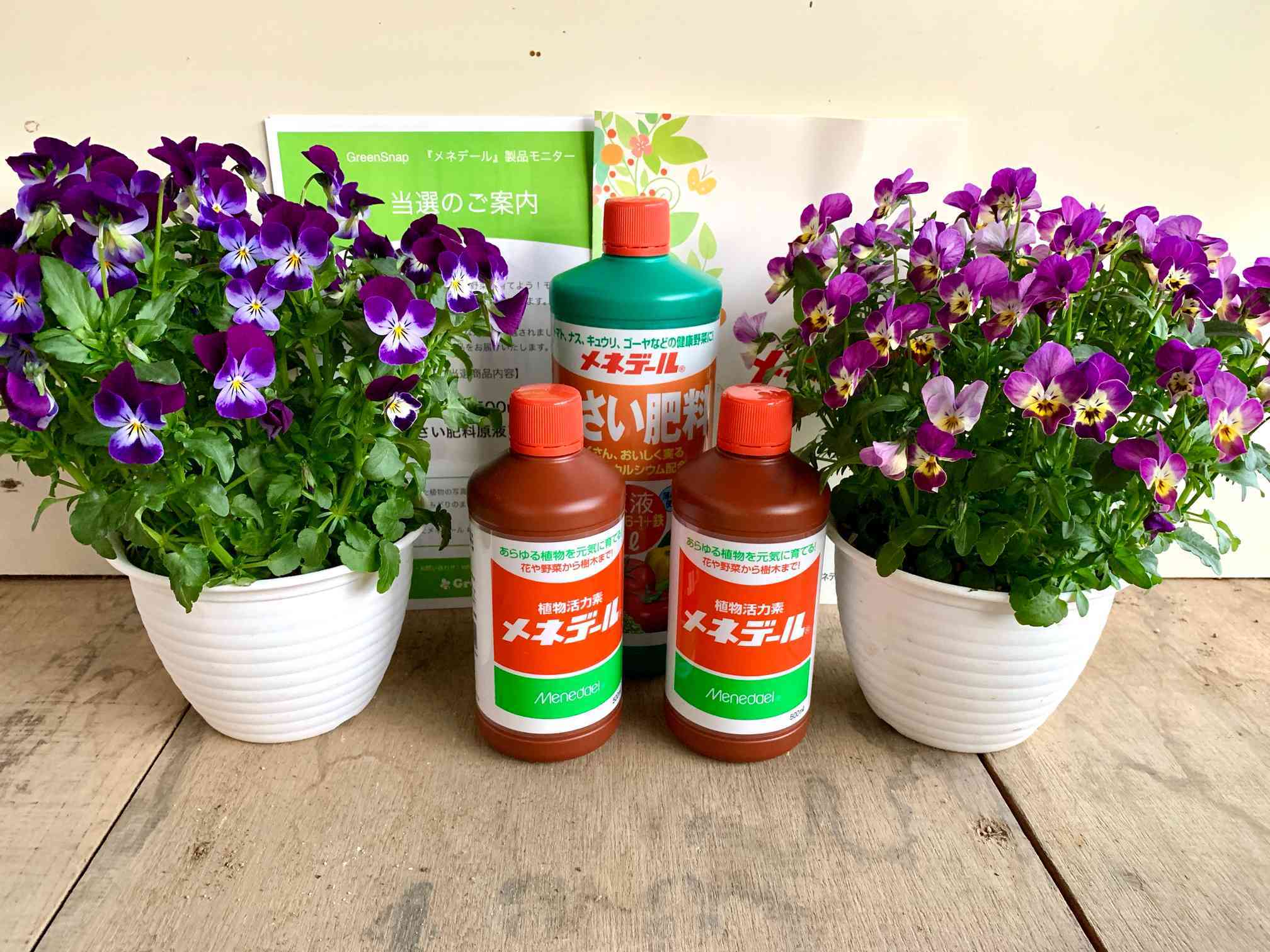 メネデール】製品モニター2021《完》｜🍀GreenSnap（グリーンスナップ）