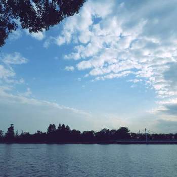 雲取りの画像 by m＆oさん | お出かけ先と水辺の風景と雲仲間と空撮りと雲取りとみさと公園からと午後から散策