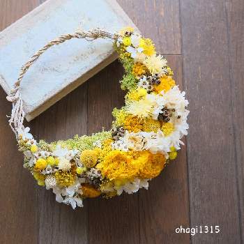 花や蔦ひつじの投稿画像一覧 Greensnap グリーンスナップ