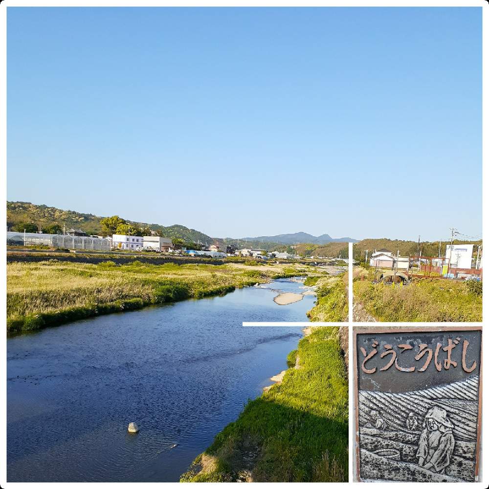 ススキの投稿画像 By ぶんこしゃんさん 21月4月26日 Greensnap グリーンスナップ