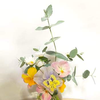 お花摘みの画像 by Risaさん | 部屋とお花摘み