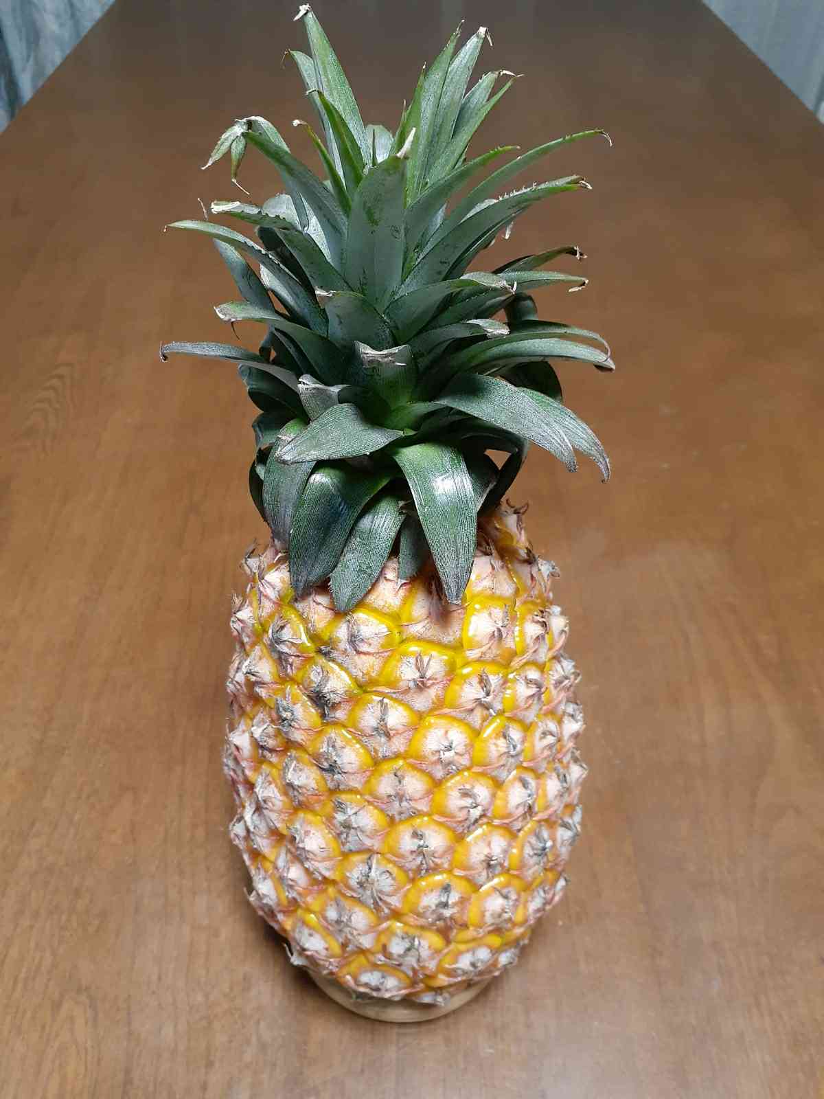 台湾パイナップル栽培🍍｜🍀GreenSnap（グリーンスナップ）