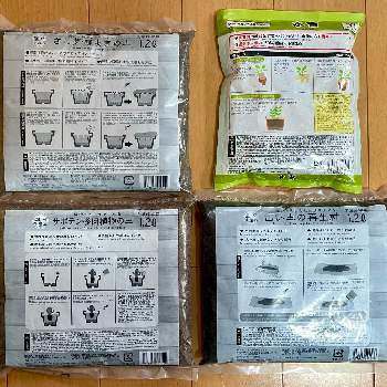 さし芽 種まきの土の投稿画像一覧 Greensnap グリーンスナップ
