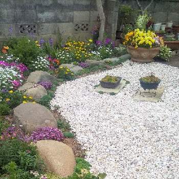 素敵な庭園の投稿画像一覧 Greensnap グリーンスナップ