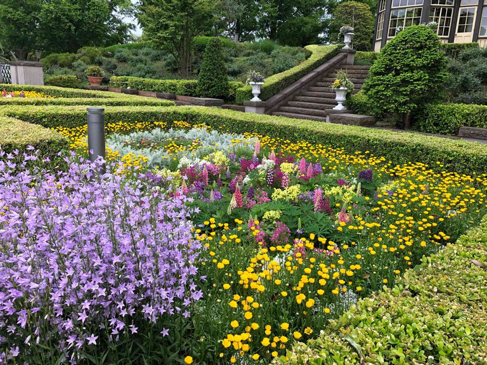 akikoさんの山手イタリア山庭園への投稿