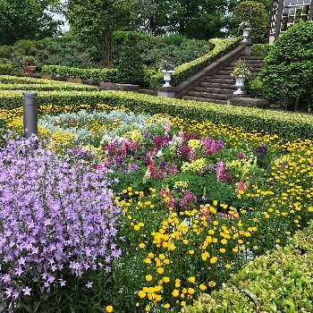 山手イタリア山庭園の投稿画像一覧 Greensnap グリーンスナップ