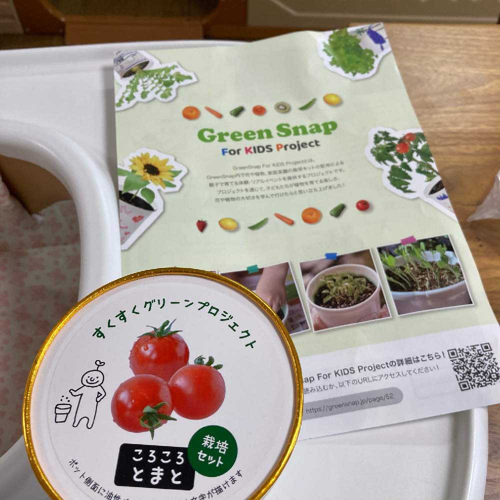子供とミニトマト栽培 Greensnap グリーンスナップ